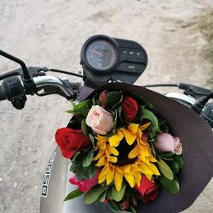 Meet your Posher, Dianna